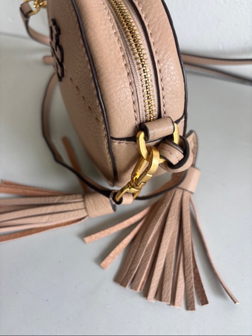 Tory Burch McGraw Blush Beige Pebbled Leather Tassel Crossbody - Picture 3 of 10